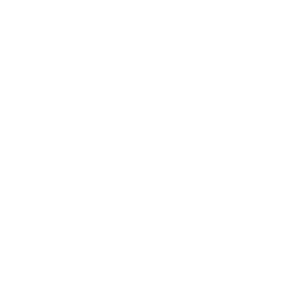 DS DS